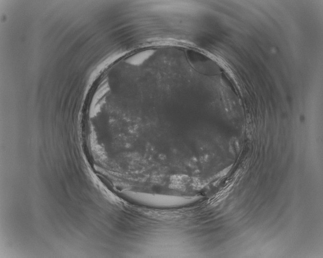 X0000066930995200604211720