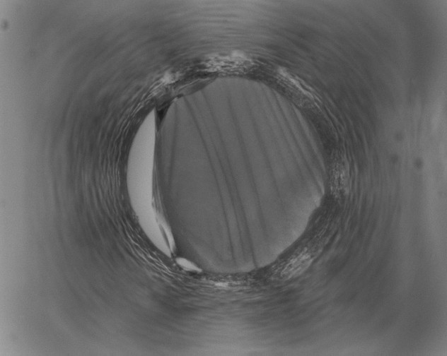 X0000066931010200604211719