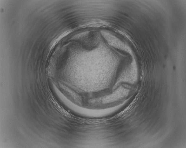 X0000066931018200604211719