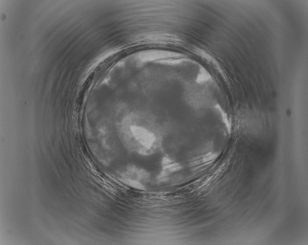 X0000066931019200604211719