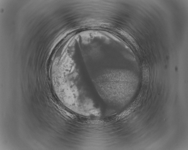 X0000066931023200604211719