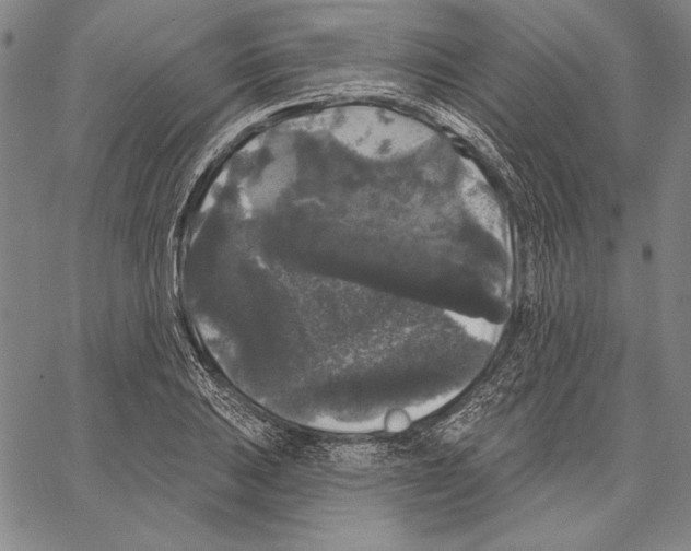 X0000066931031200604211719