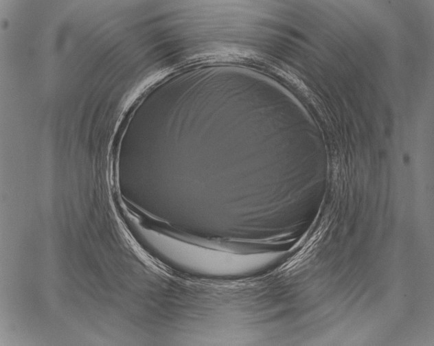 X0000066931034200604211719