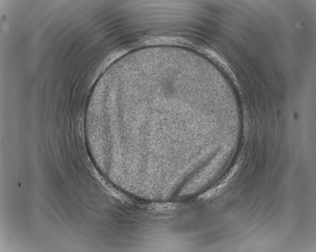 X0000066931041200604211719