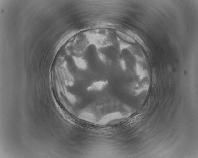 X0000066931047200604211719