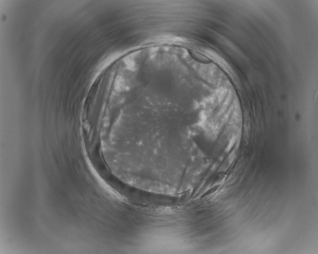 X0000066931055200604211719