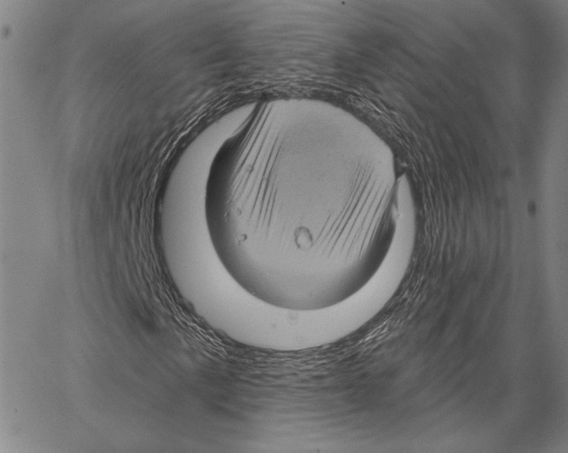 X0000066931057200604211718