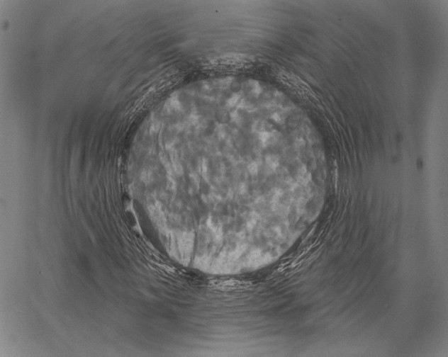 X0000066931059200604211718