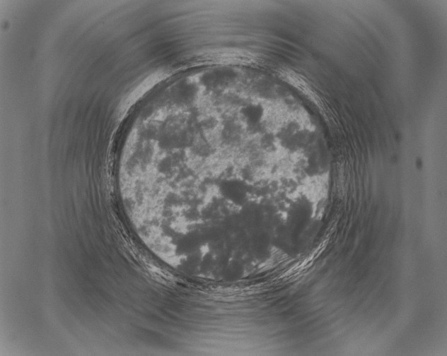 X0000066931071200604211718
