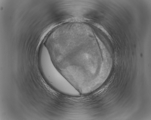 X0000066931075200604211718