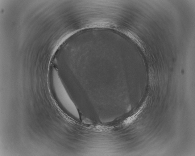 X0000066931077200604211718