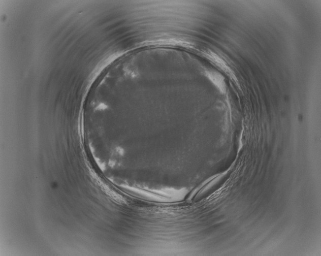 X0000066931084200604211718