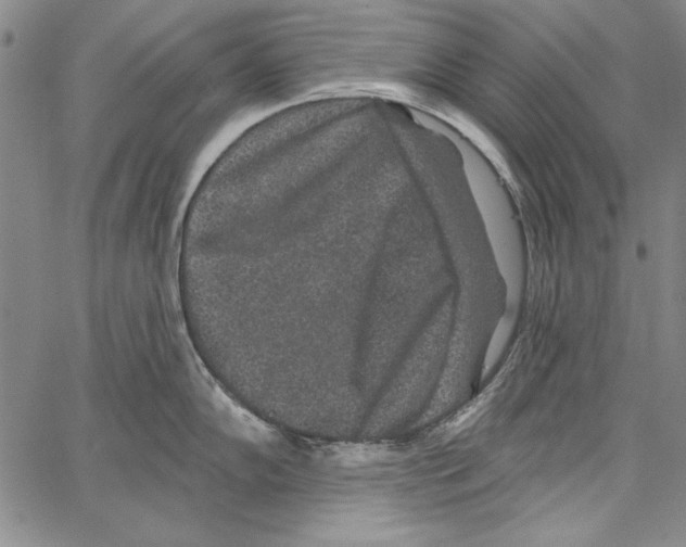 X0000066931102200604211718