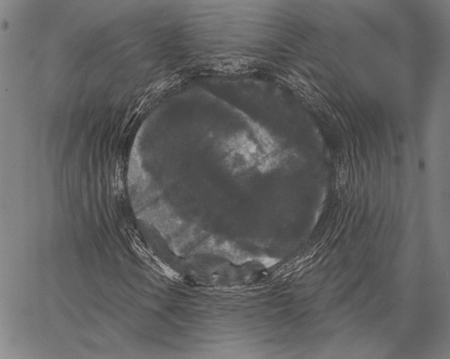 X0000066931106200604211717