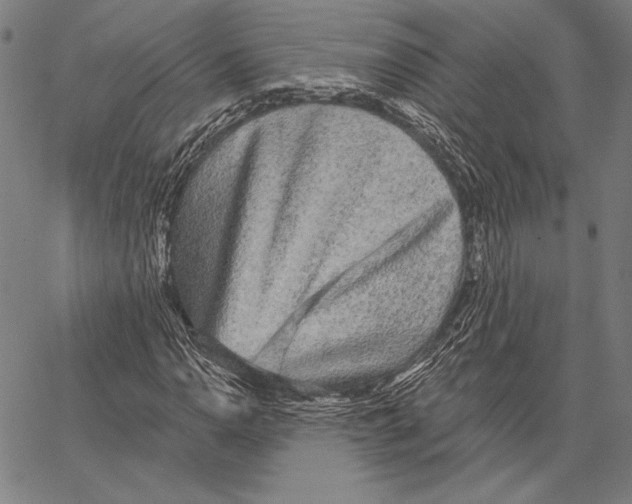 X0000066931110200604211717