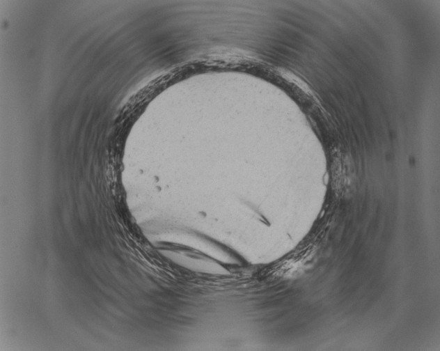 X0000066931112200604211717