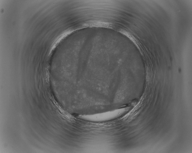X0000066931115200604211717