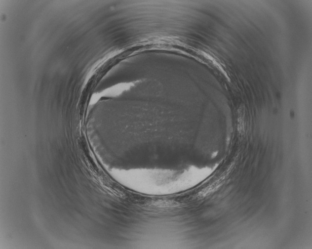 X0000066931117200604211717