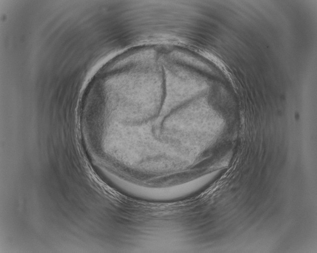 X0000066931120200604211717