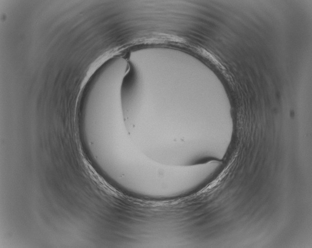 X0000066931122200604211717