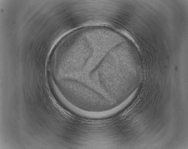 X0000066931124200604211717
