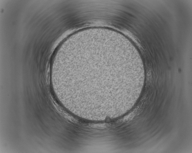X0000066931126200604211717