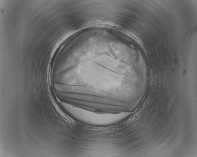 X0000066931128200604211717