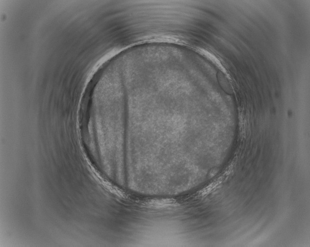 X0000066931133200604211717