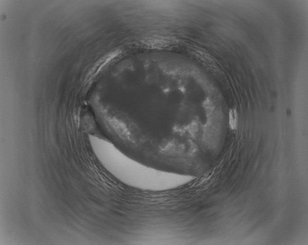 X0000066931155200604211717