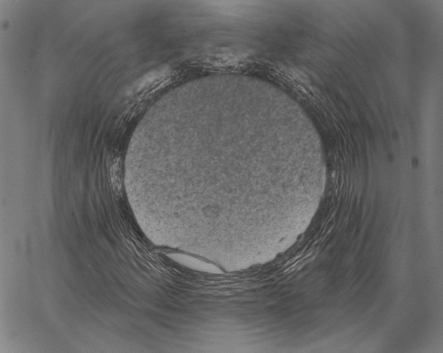 X0000066931156200604211717