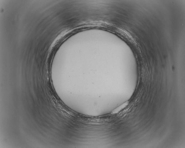 X0000066931172200604211717