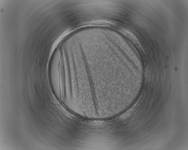 X0000066931180200604211716