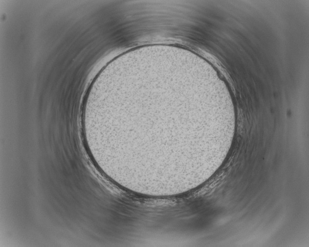 X0000066931187200604211716