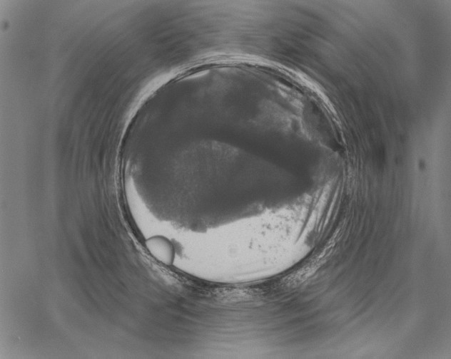 X0000066931231200604211716