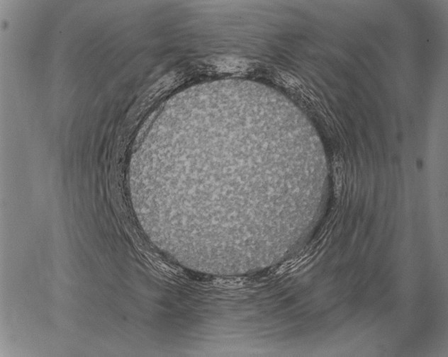 X0000066931249200604211715