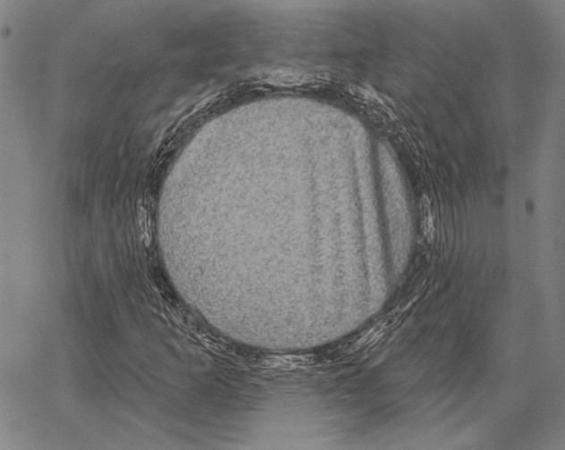 X0000066931253200604211715
