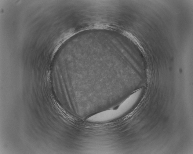 X0000066931260200604211715