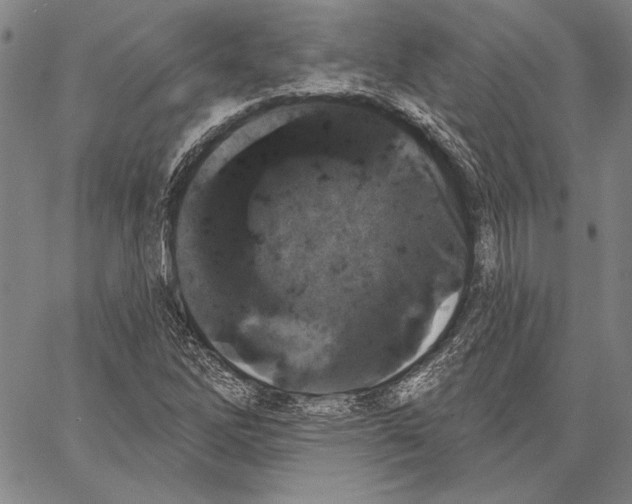 X0000066931262200604211715