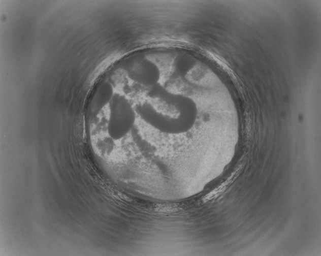 X0000066931267200604211715