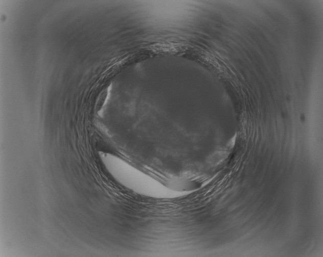 X0000066931297200604211714