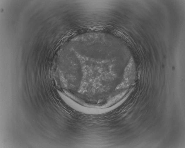 X0000066931298200604211714
