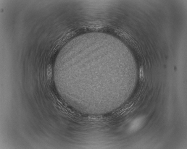X0000066931299200604211714