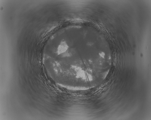 X0000066931301200604211714