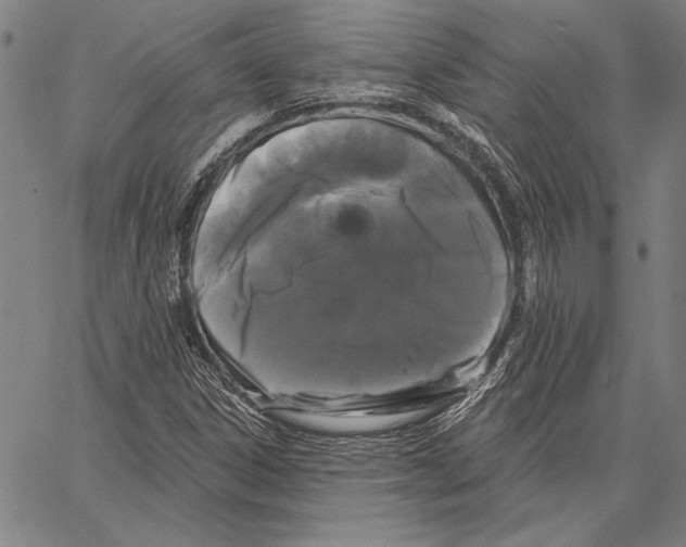 X0000066931306200604211714