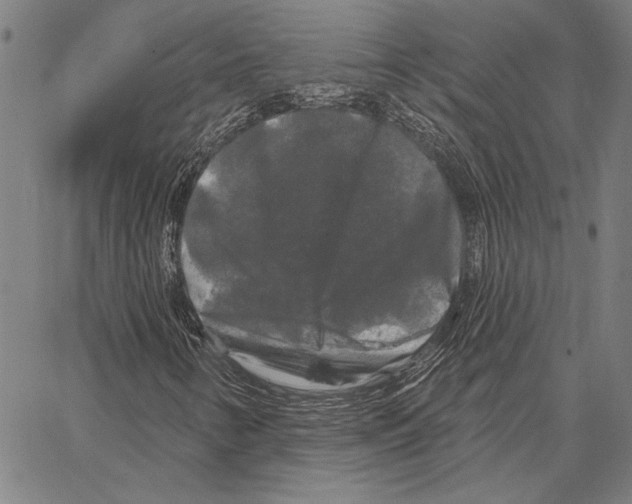X0000066931346200604211714