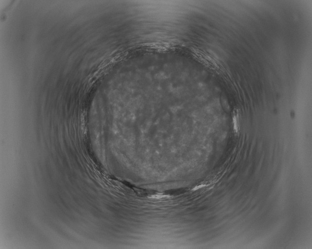 X0000066931347200604211714