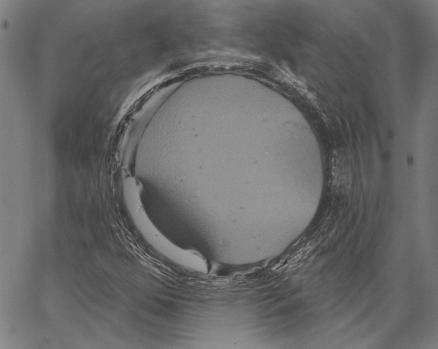 X0000066931352200604211714