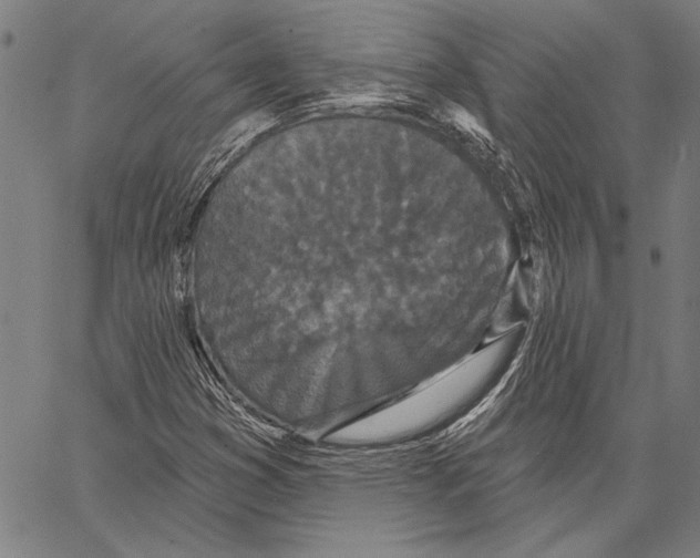 X0000066931353200604211714