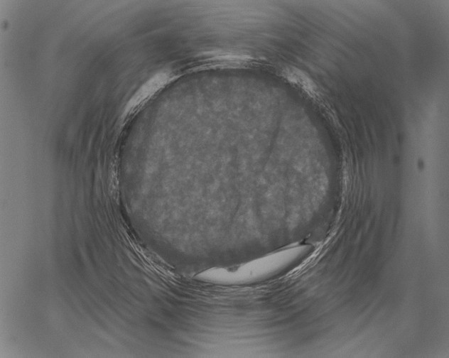 X0000066931354200604211714