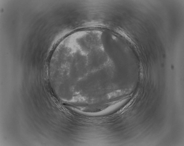 X0000066931358200604211713